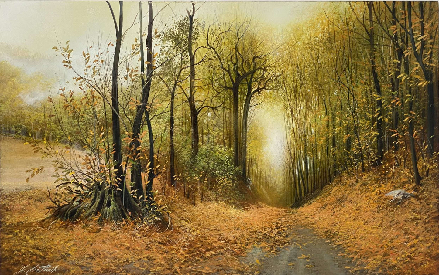 Forest in autumn