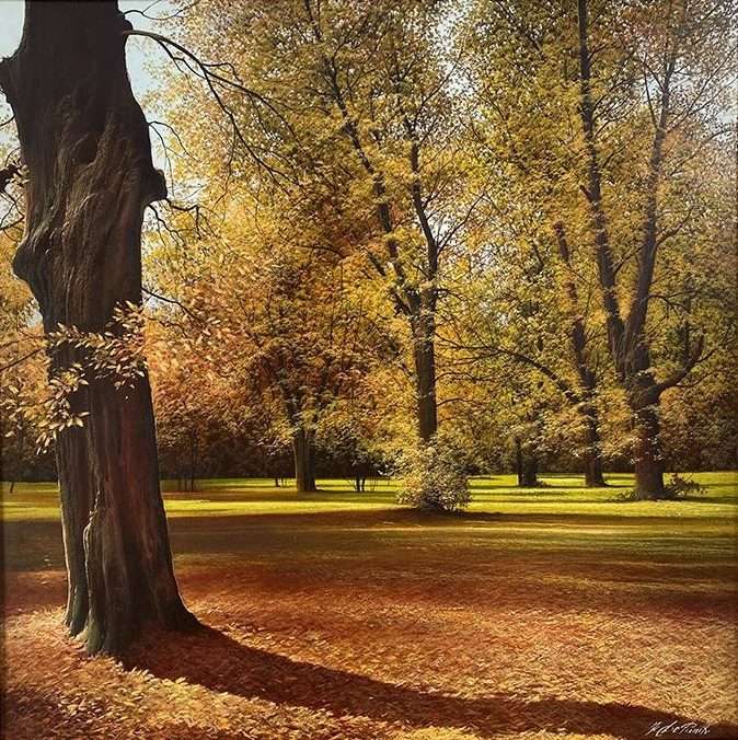 Fairy Forest