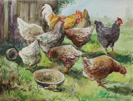 Chicken coop
