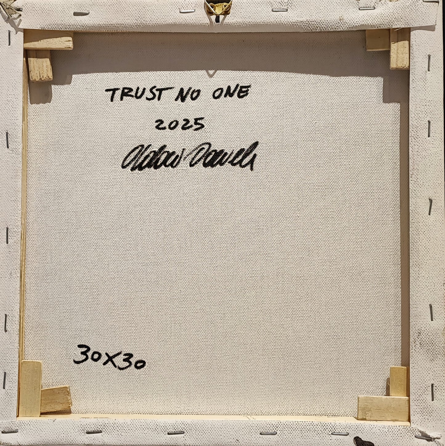 TRUST NO ONE