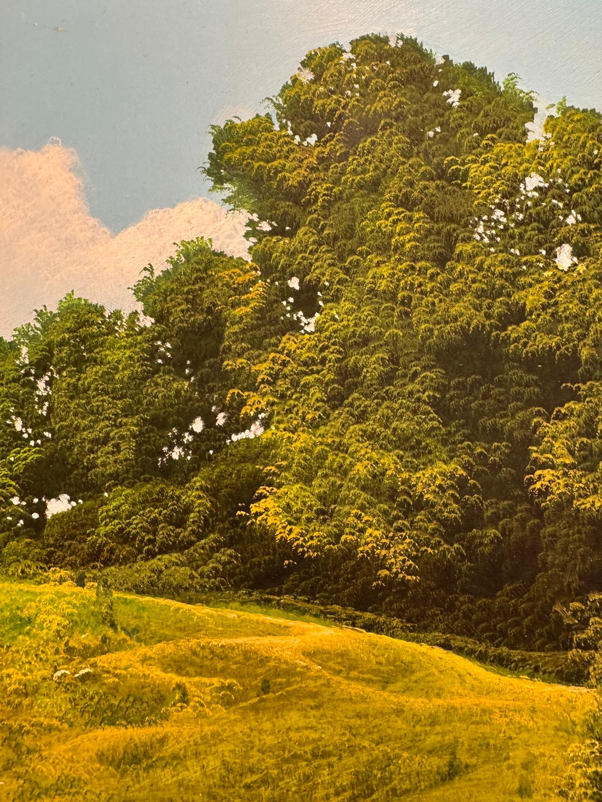 Colline in primavera