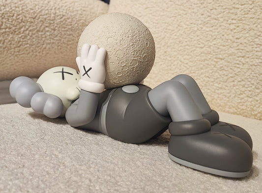 Kaws Gone gray and pink