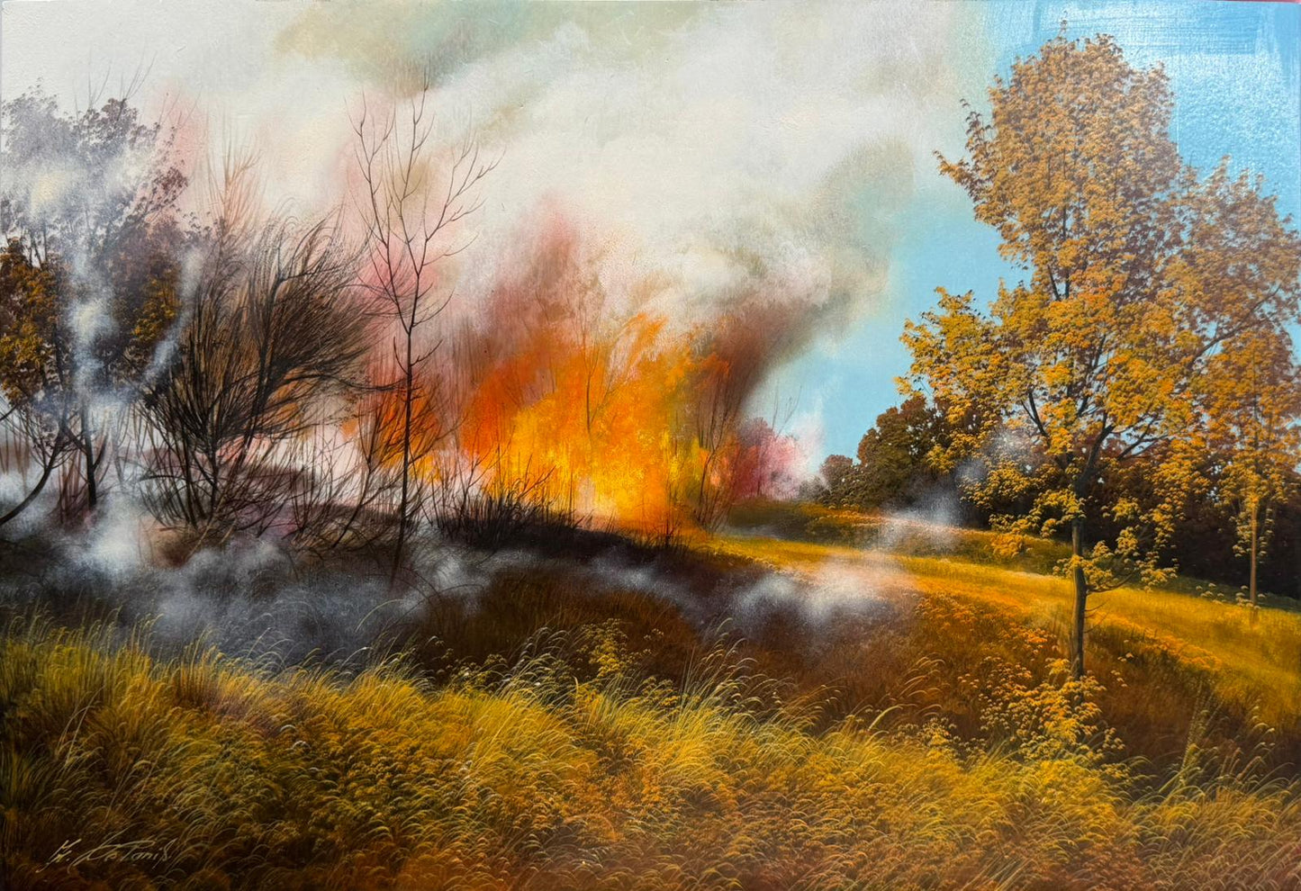 Chestnut Forest in Winter