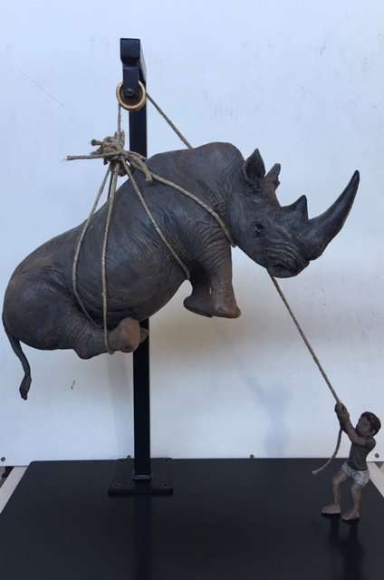 Tobit and the Middle Rhinoceros
