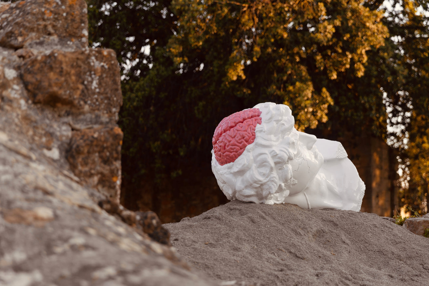 LEX ITALICA "MEDICI" EDITION