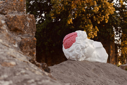 LEX ITALICA "MEDICI" EDITION