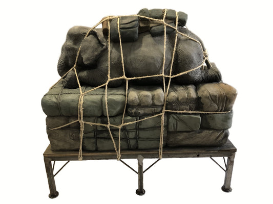 Medium Rhino Luggage