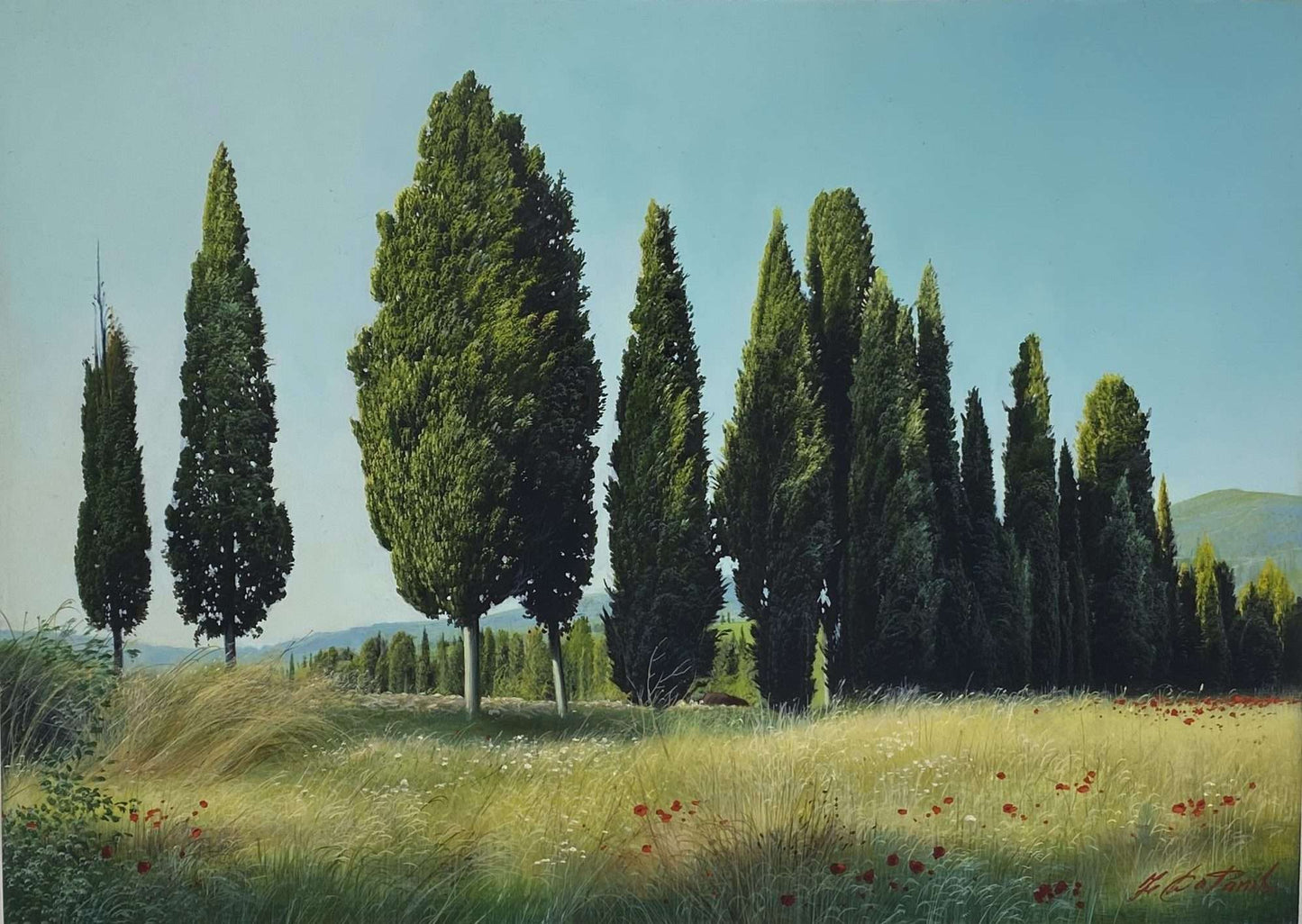 Cypresses in the morning in Chianti