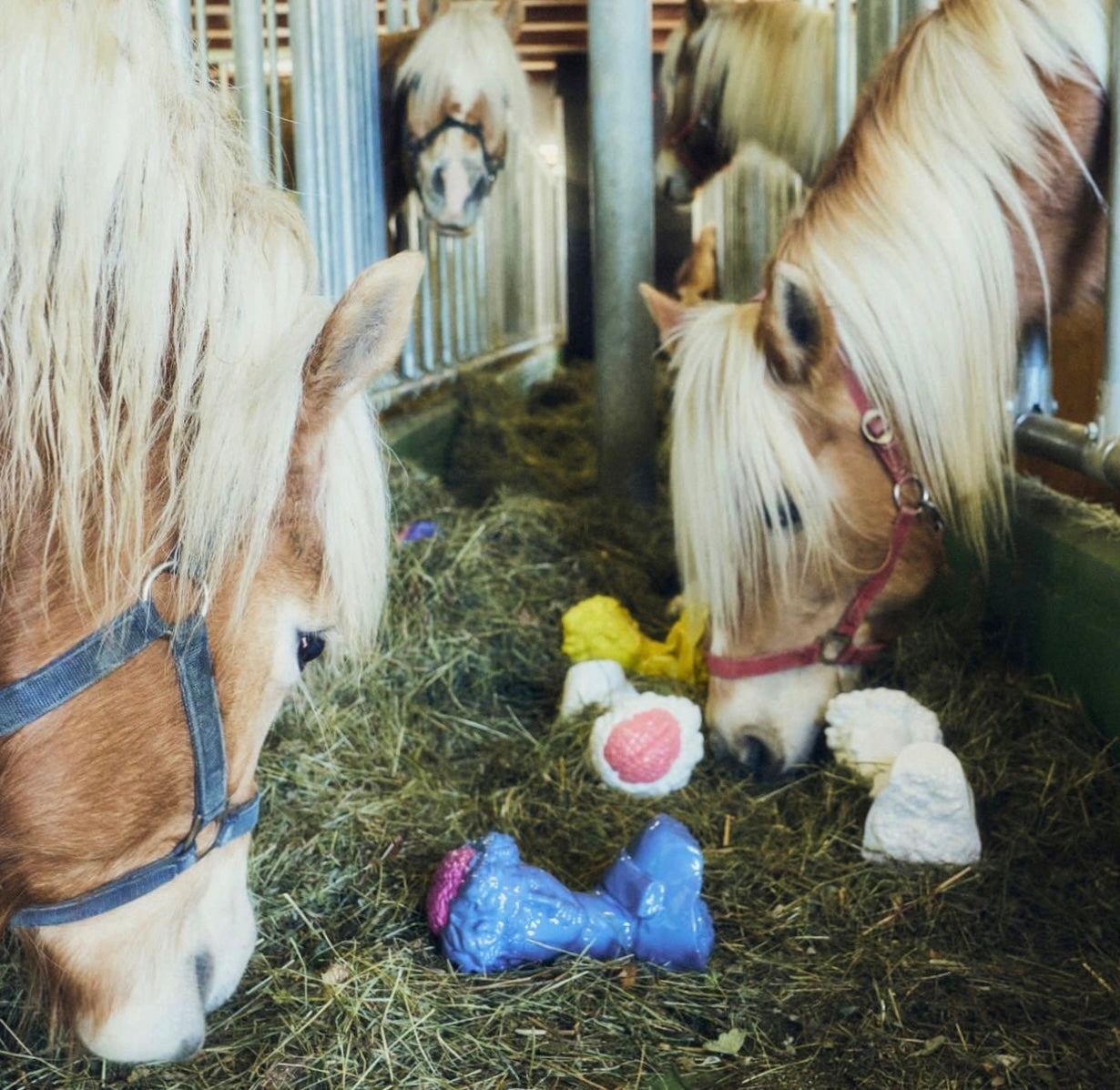 LEX ITALICA "MEDICI" EDITION