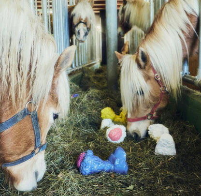 LEX ITALICA "MEDICI" EDITION