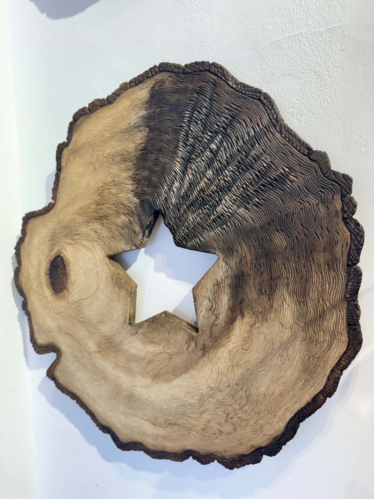 Tree of life ( Star )