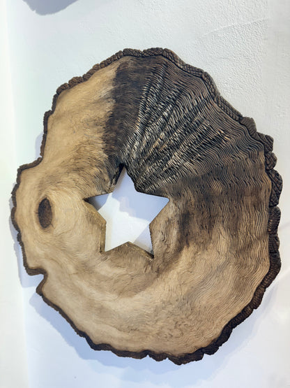 Tree of life ( Star )