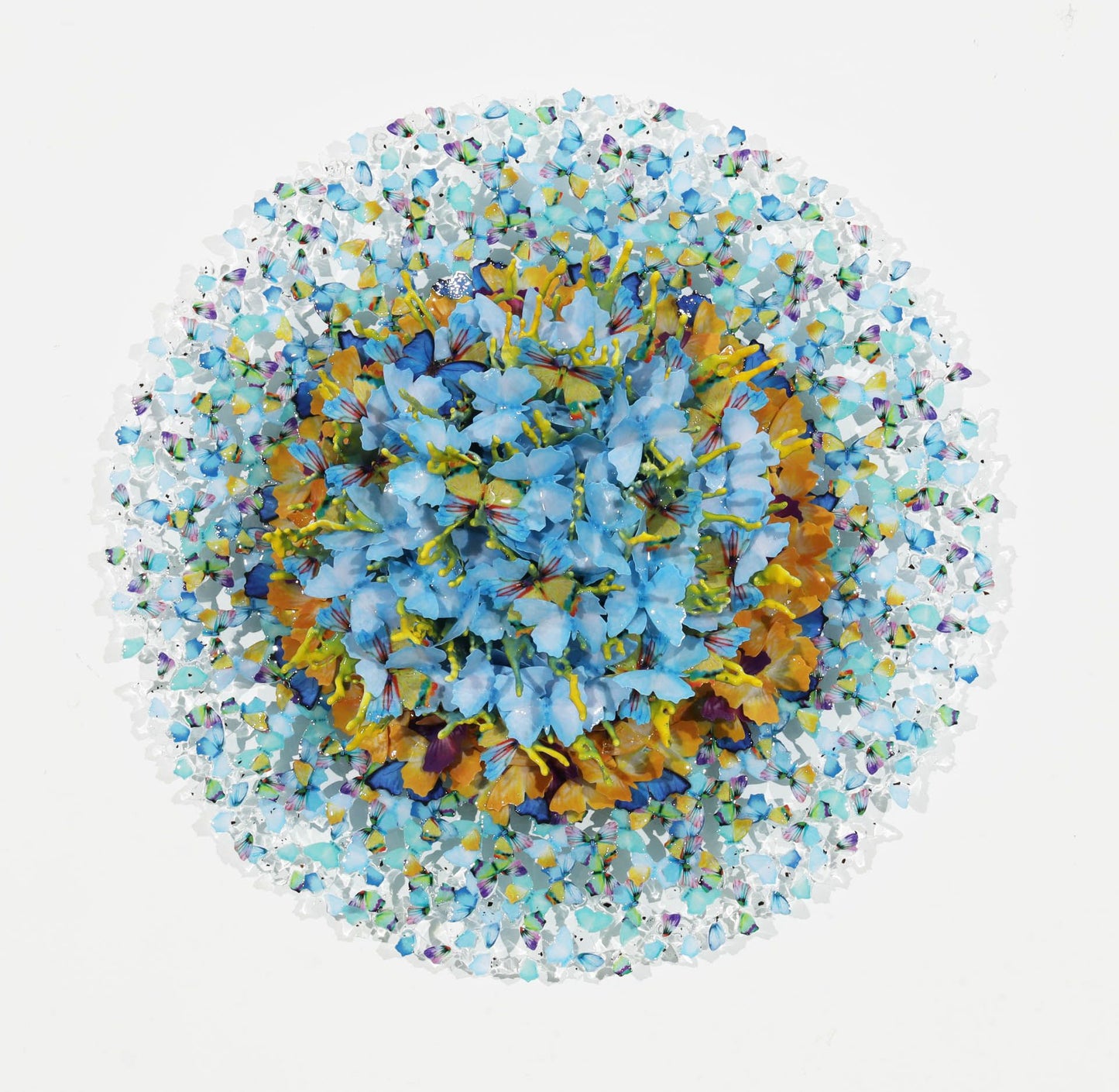 Dreamcatcher corallo luminoso