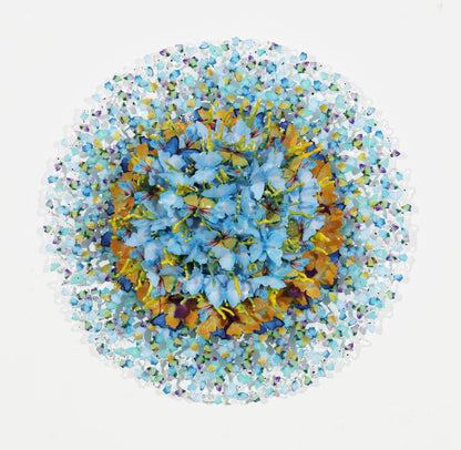 Dreamcatcher corallo luminoso