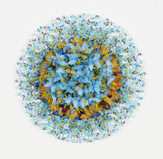 Dreamcatcher corallo luminoso