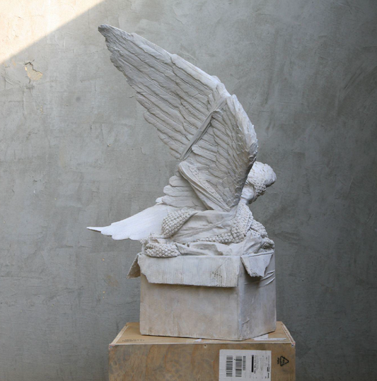 Wrapped n°5 - Amore Rapito