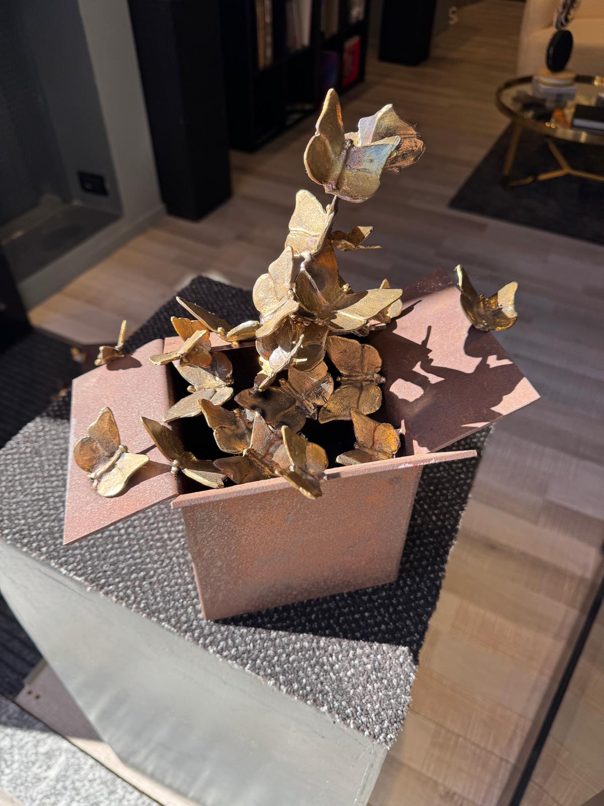 Scatole della Libertà singola