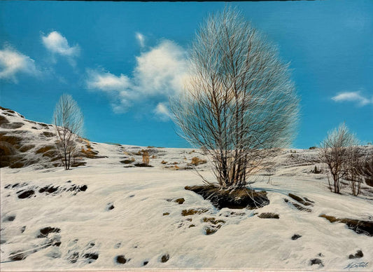 Chestnut Forest in Winter