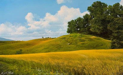 Colline in primavera