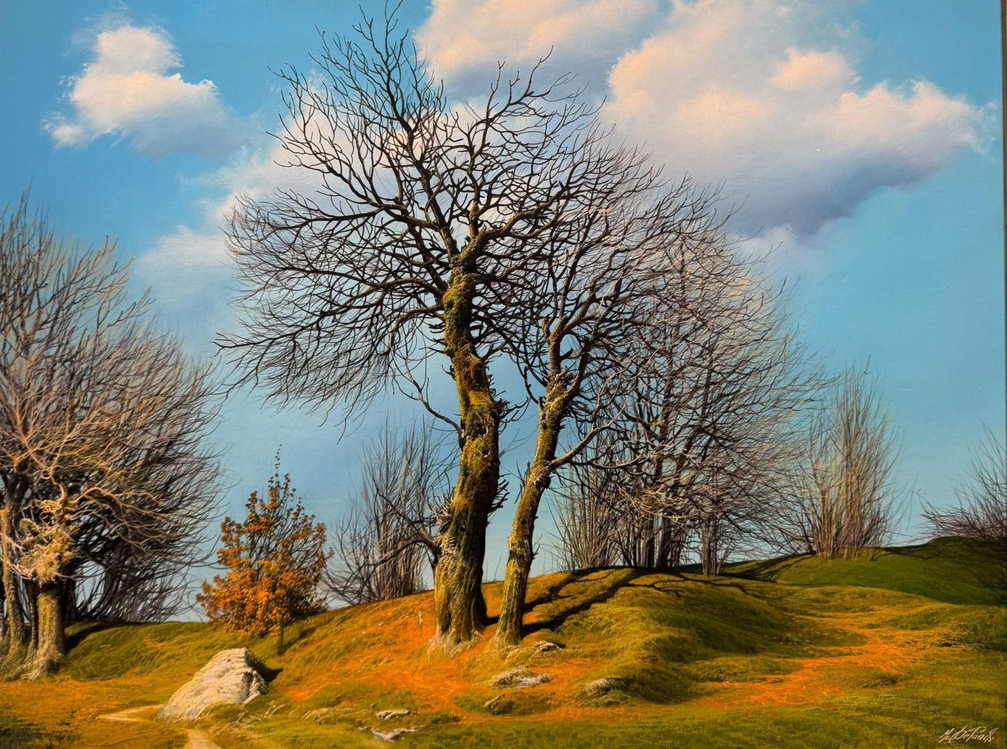 Roveri secchi in Val Fontanabuona