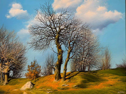 Chestnut Forest in Winter