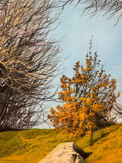 Roveri secchi in Val Fontanabuona