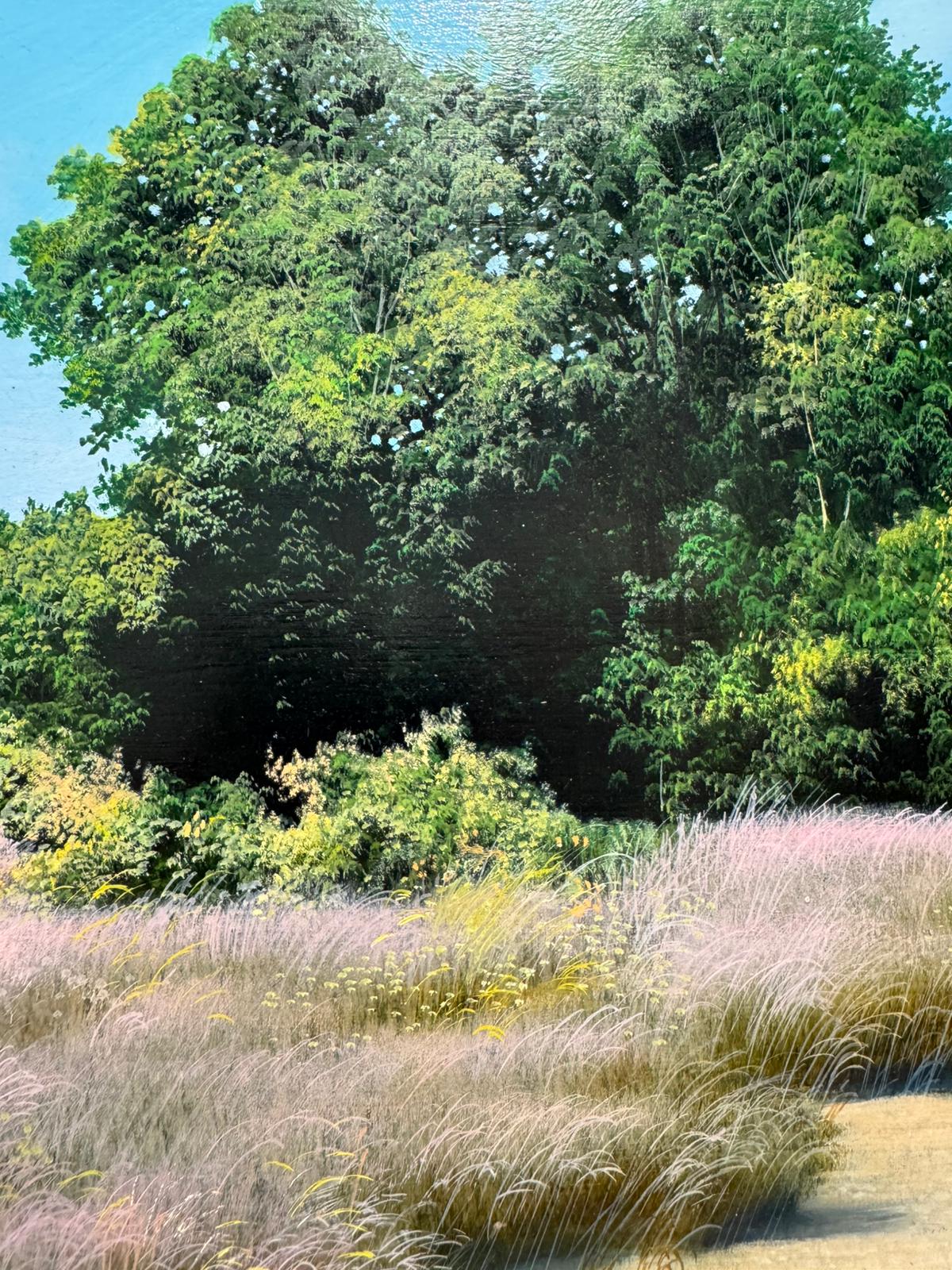 Campagna della Sardegna