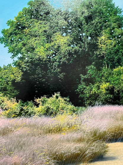 Campagna della Sardegna