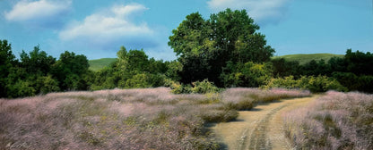 Campagna della Sardegna