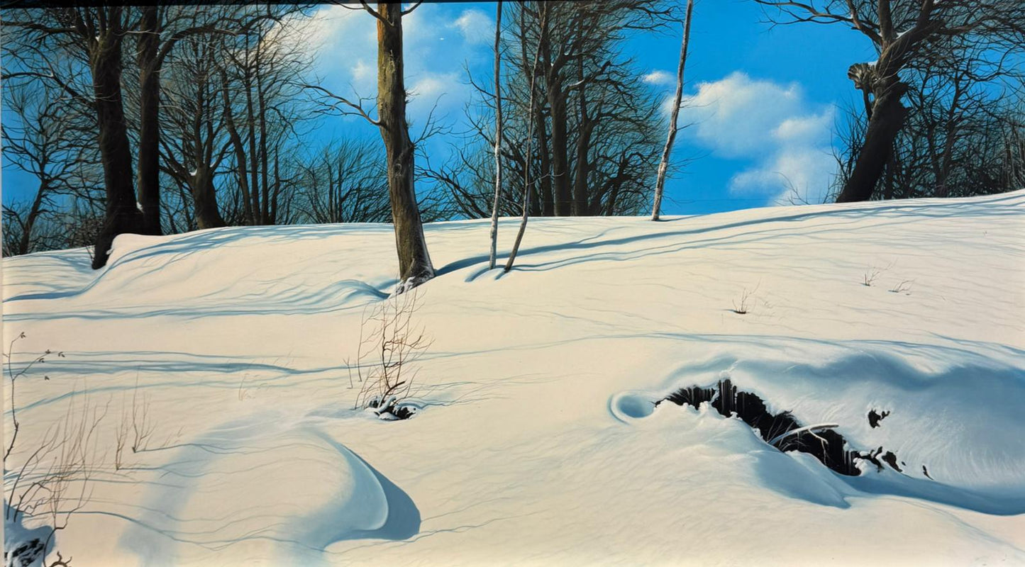 Bosco ligure in inverno