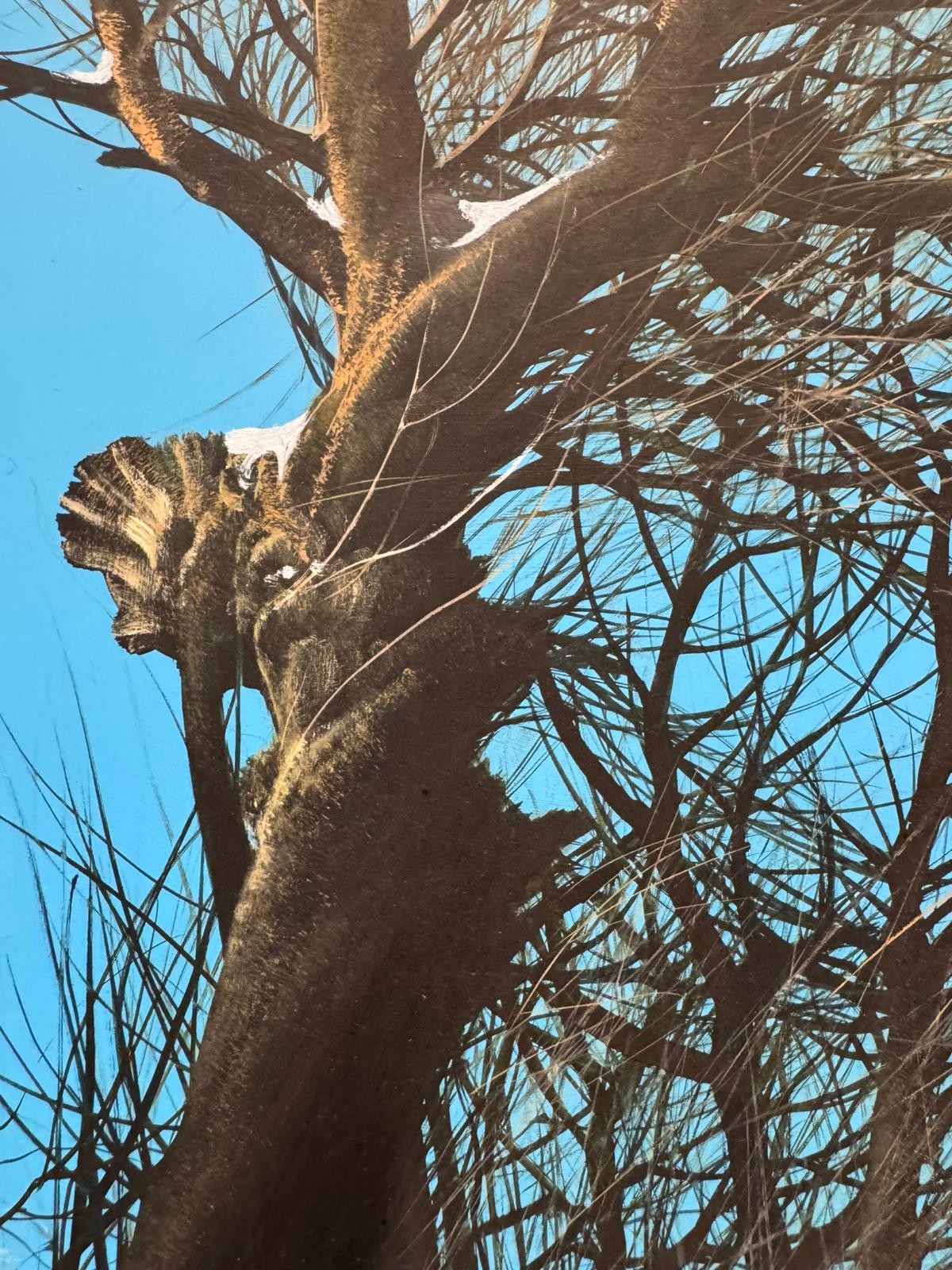 Bosco ligure in inverno