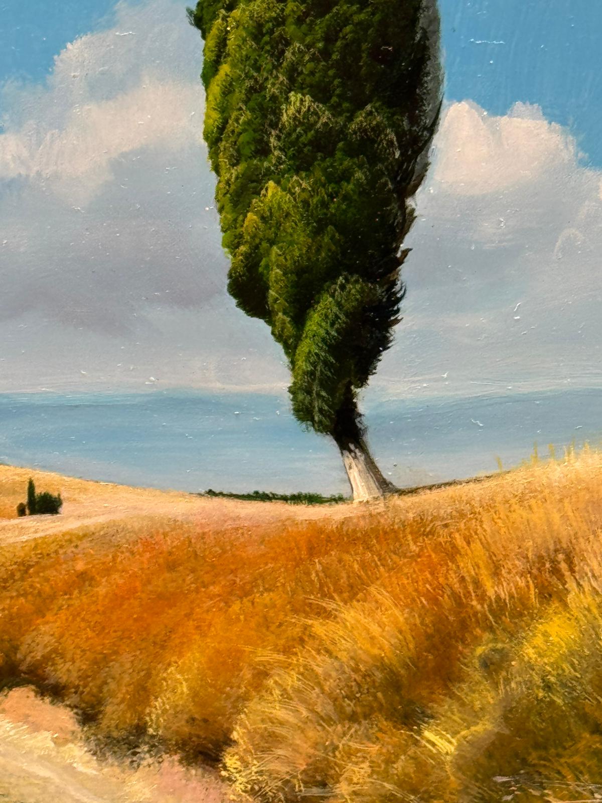 Chestnut Forest in Winter