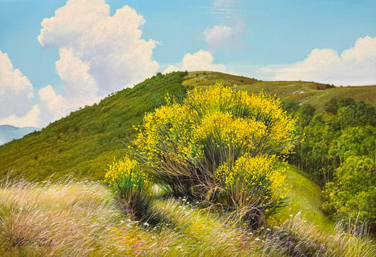 Chestnut Forest in Winter