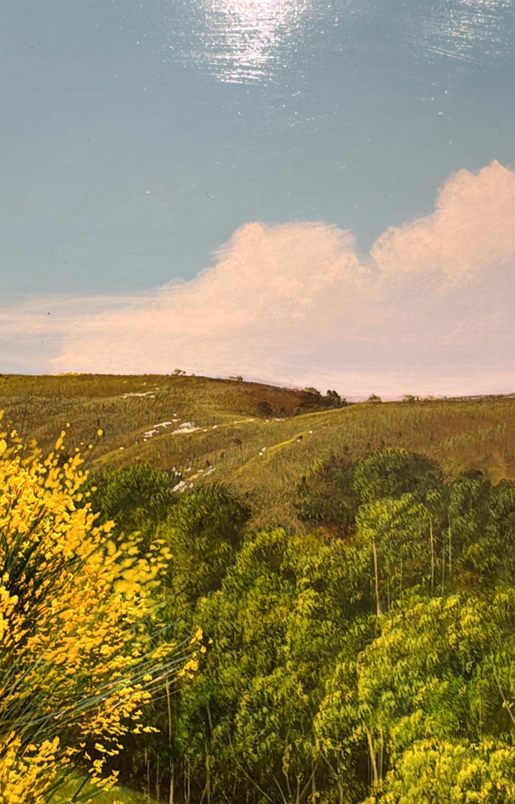 Chestnut Forest in Winter