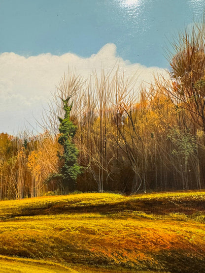 Chestnut Forest in Winter