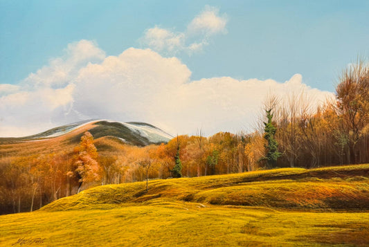 Chestnut Forest in Winter