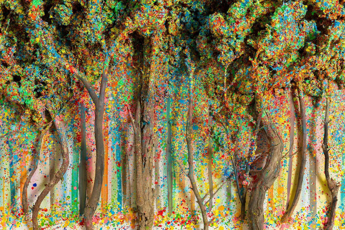 The Forest