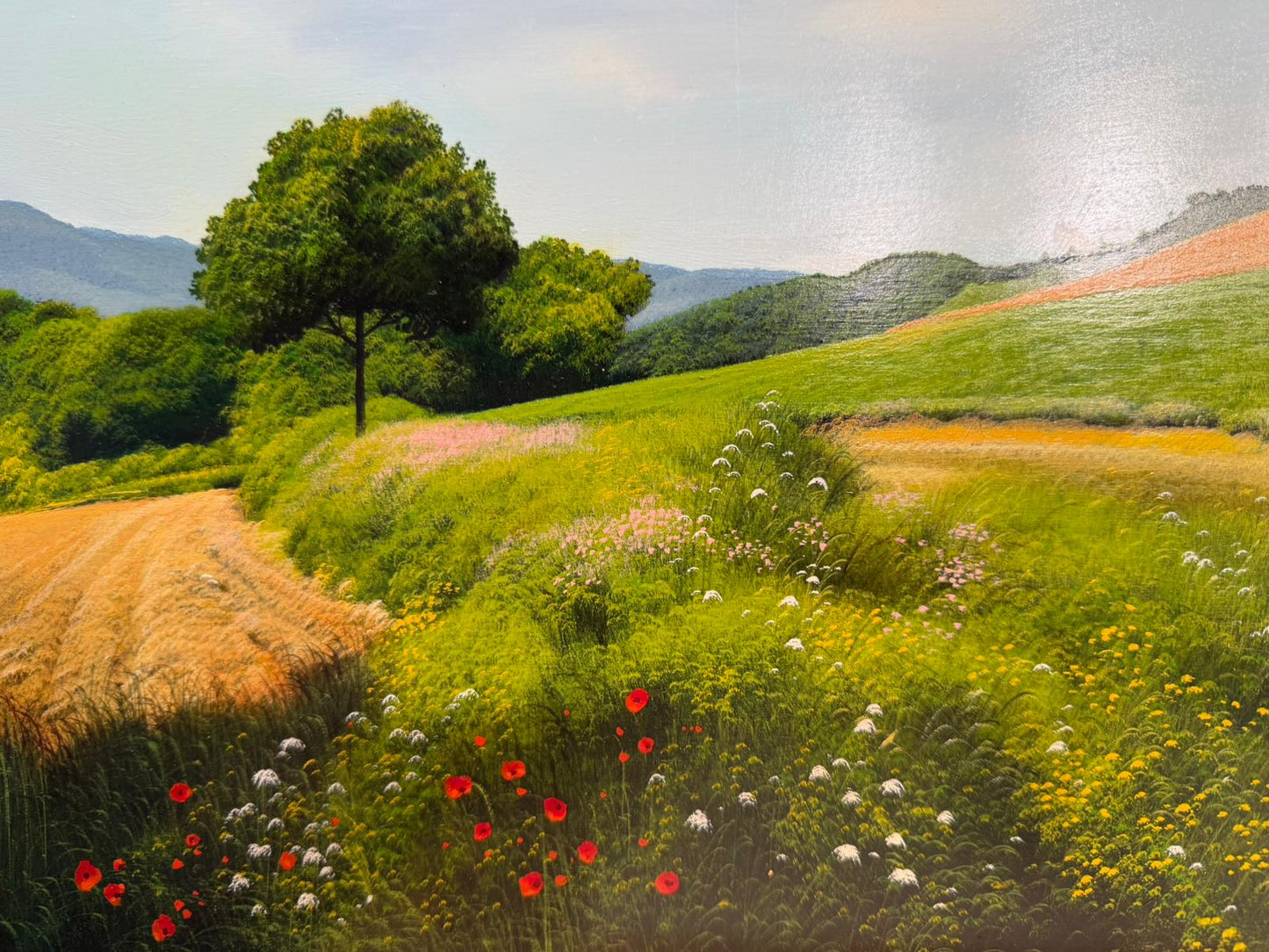 Colline in primavera