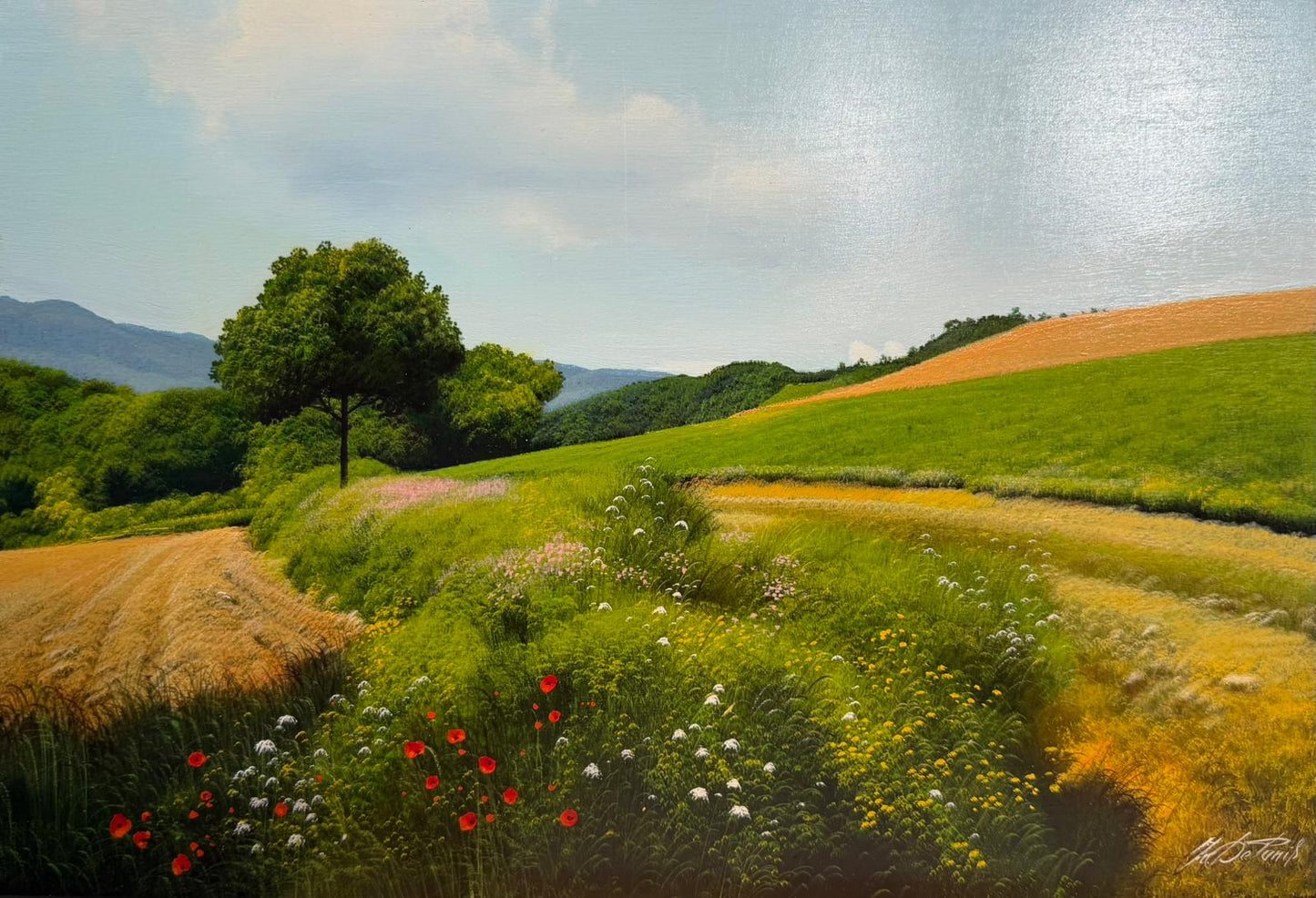 Colline in primavera