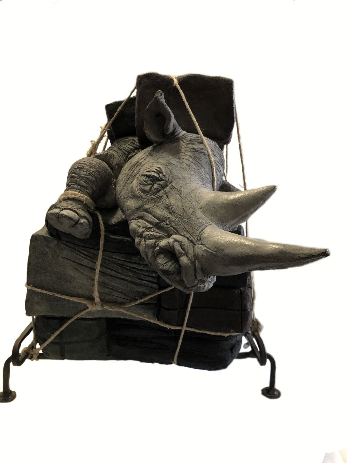 Medium Rhino Luggage