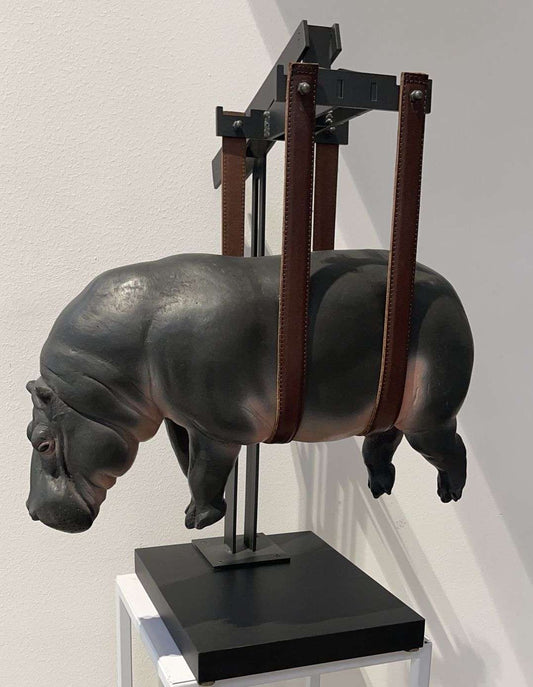 The weight of Hippo Suspended Time