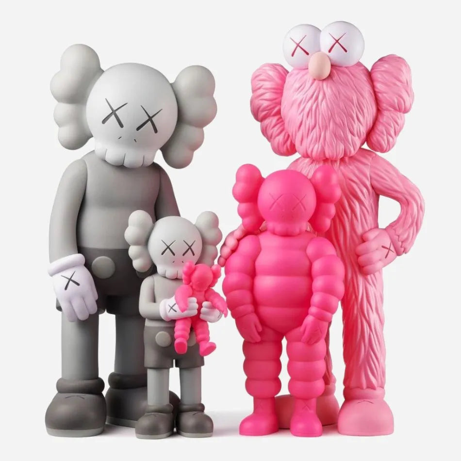 Kaws Family Grey and Pink